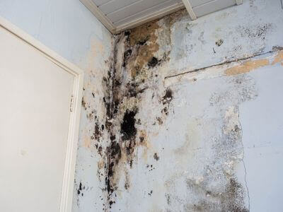 About Total Water Restoration - water damage restoration experts in Wickenburg, AZ